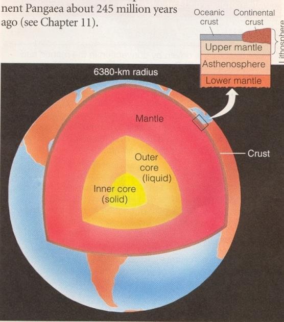Crust Underlies the continents Thinnest layer Oceanic (heavy) or continental (light) Top 8 elements in the earths crust in order: O, Si, Al, Fe (iron), Ca, Na (sodium), P, Mg Only silly apes in