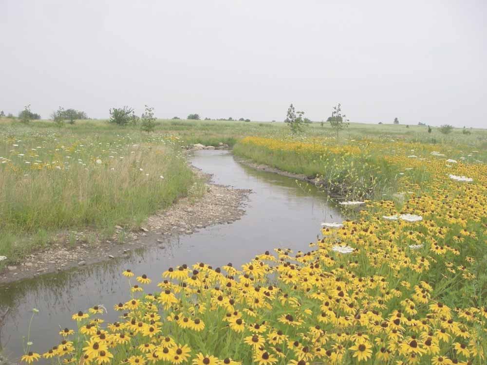 Spring Brook Stream Meander Project US Environmental Protection Agency Illinois Environmental Protection