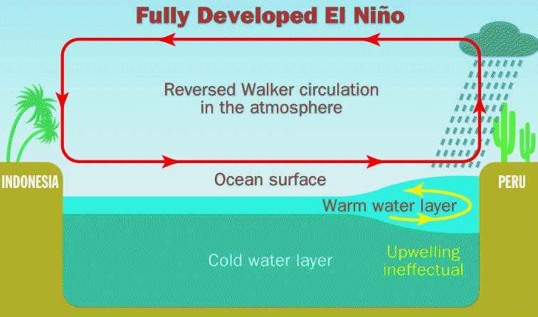 El Niño: wet weather in the East and warm sea