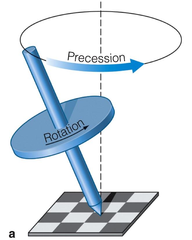 Precession (I) Gravity is pulling on a slanted top => wobbling around