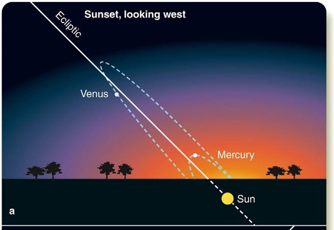 Apparent Motion of the Inner Planets Mercury appears, at most, ~28 from the Sun.