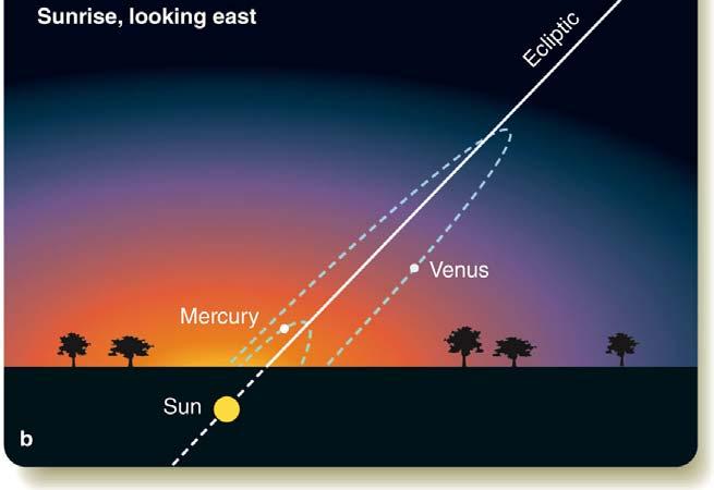 in the east. Venus appears, at most, ~46 from the Sun.
