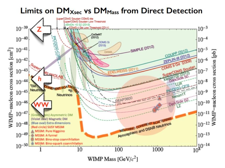 From WIMPs to Dark Sector WIMPs search: detectors made of large volumes of active materials to detect cosmogenic DM scattering over nuclei -low sensitivity to light DM candidates (<10 GeV) NO
