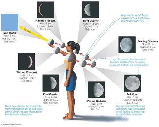 The phases of the Moon