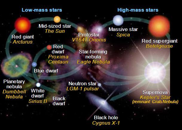 8 Gy as MS star Radius ~ 109 Earth Mass ~ 333,000 Earth Core temp ~ 15 MK Core density ~ 160 g/cm 3 (~ 1