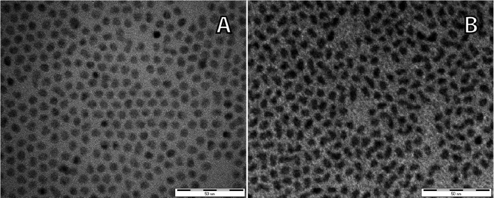 Figure S4. Representative TEM images of (Zn,Cd)Se NCs obtained by Zn 2+ for Cd 2+ exchange in 5.6 nm ZnSe NCs at 220 C. In (A) the cation exchange was driven by three sequential injections of 0.