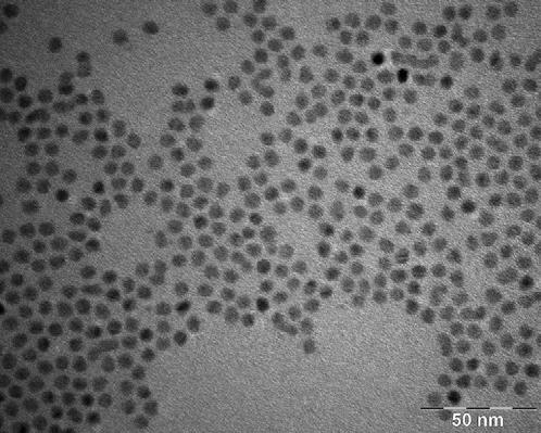 Figure S7. Representative TEM image of (Zn,Cd)Se NCs obtained by thermally treating sample S150-220 at 250 C for 20 min.