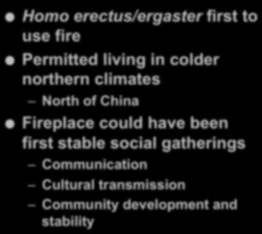 Fire and Migration Homo erectus/ergaster