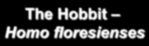 The Hobbit Homo