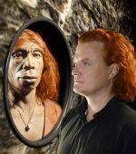 that Neanderthal DNA found in European populations