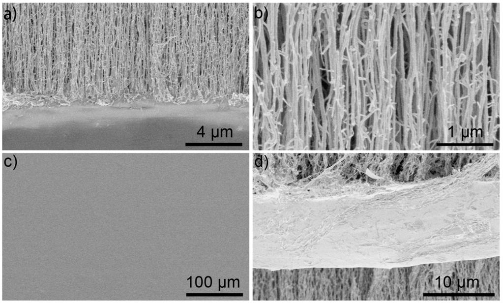 Figure S7. SEM images of the stretchable supercapacitors.