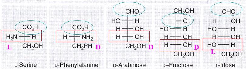 group: top 2 O (carbohydrates) or R (amino acids): bottom D: dextro, right L: levo, left No direct relationship