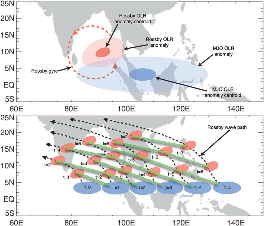 5136 J O U R N A L O F C L I M A T E VOLUME 24 FIG. 1. Schematic illustration of the relationship between the MJO and ER waves in the boreal summer Asian monsoon.