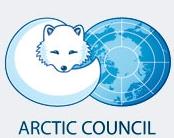 (ii) Regional Two main routes for regional cooperation Arctic Council and its progeny + The Arctic Council, established pursuant to a non-legally binding Declaration adopted in Ottawa on 19 September