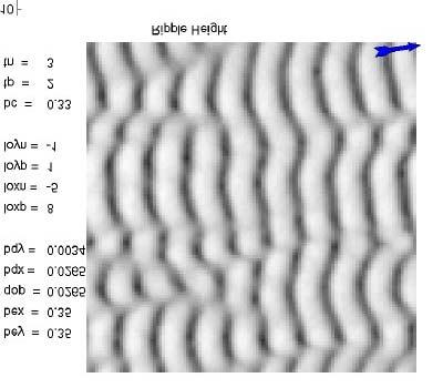 Figure 1: Computer simulation of sand ripples under waves. [The upper graph is a gray scale map of the ripple elevation, with darker gray on the crests of the ripples.