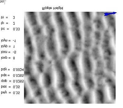Figure 2: Computer simulation of sand ripples under waves.