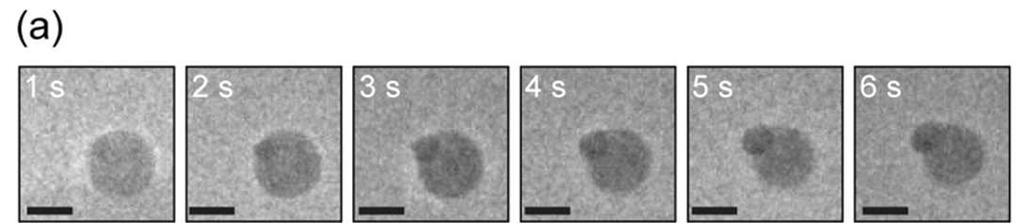Figure S4: Figure S4. Low-dose TEM imaging of Ag AgBr evolution.