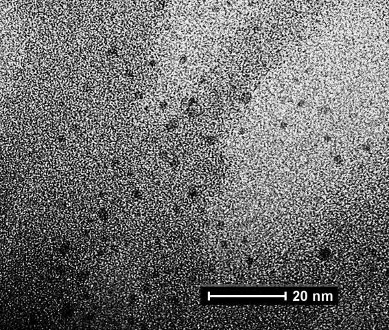 The sample: ferritin-based nanomagnets (CoO)