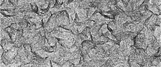 wrinkled graphene wall