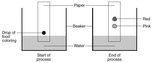 1. Which laboratory glassware is shown in the diagram below?