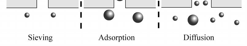 Another mechanism is adsorption resulting in high concentration on the surface of strongly adsorbing molecules that leads to effective transport of these molecules through the membrane.