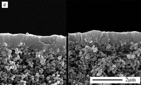 Representative SEM side view images of (a) unmasked membrane U72 (b) masked membrane CM205 and SEM side view images showing both extensive support invasion (to the left)