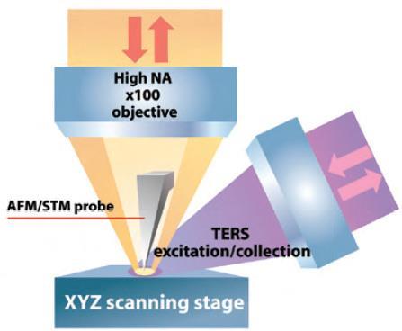 Tip-enhanced Raman Scattering (TERS) Side optical access is realized by an