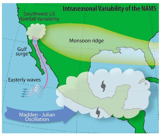 Intraseasonal variability Includes: Easterly waves Tropical cyclones Low level moisture surges Upper level