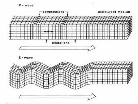 Seismic waves = waves in elastic