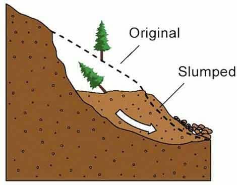 Slumps Occur on weaker rocks (e.g. clay) where the slide plane is CURVED e.g. Folkstone Warren, Kent where: Unstable gault clay lies below soft chalk.