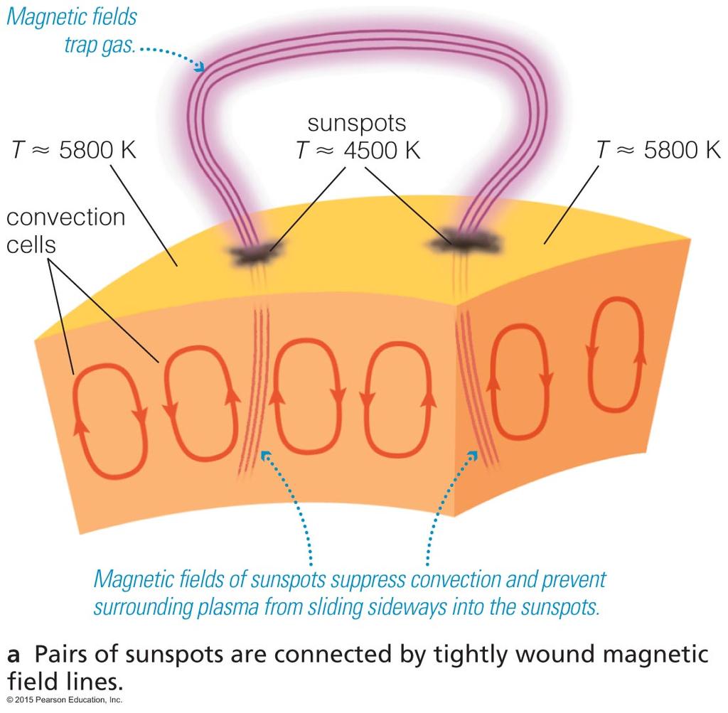 Zeeman Effect We can measure magnetic fields in sunspots by observing the