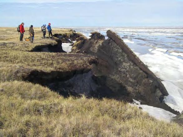 Permafrost has declined over the