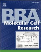 Biochimica et Biophysica Acta 1833 (2013) 274 285 Contents lists available at SciVerse ScienceDirect Biochimica et Biophysica Acta journal homepage: www.elsevier.