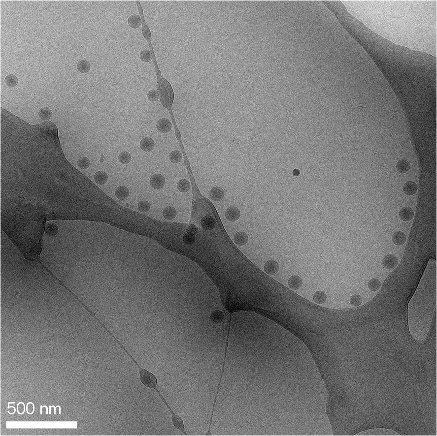 CryoTEM images of the