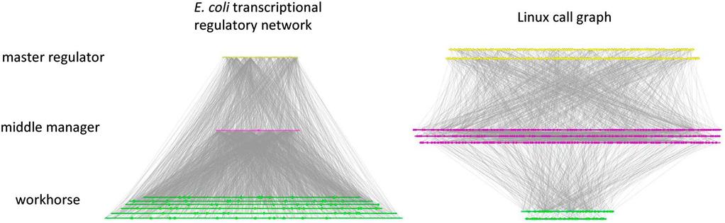 Hierarchical structures in directed networks master regulators (nodes with zero in-degree), workhorses