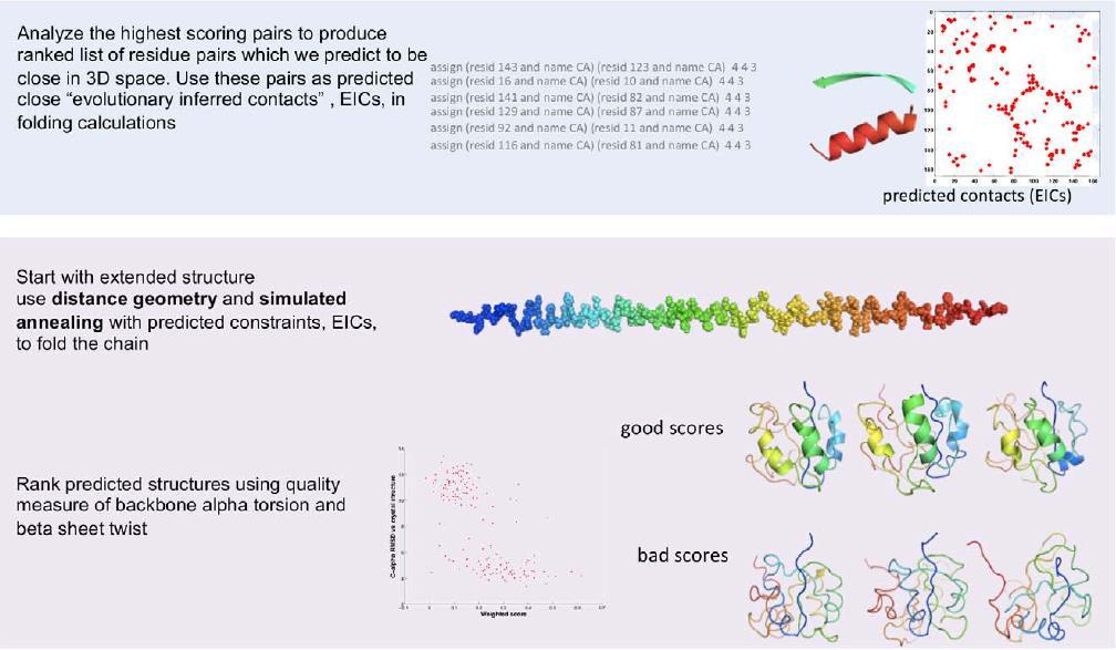 APPLICATION IN PROTEIN STRUCTURE PREDICTION Marks DS, Colwell LJ, Sheridan R, Hopf