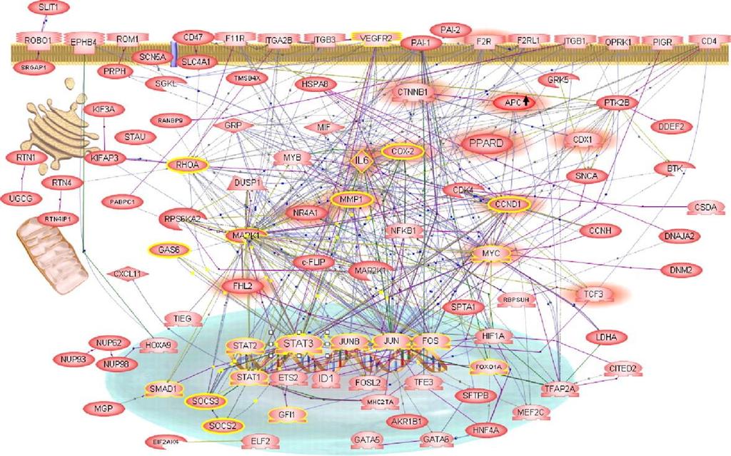 Gene Regulation Networks
