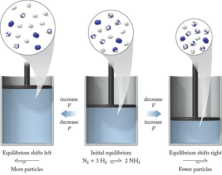 Effects of Pressure and Volume When volume increases, the equilibrium shifts to the side with more