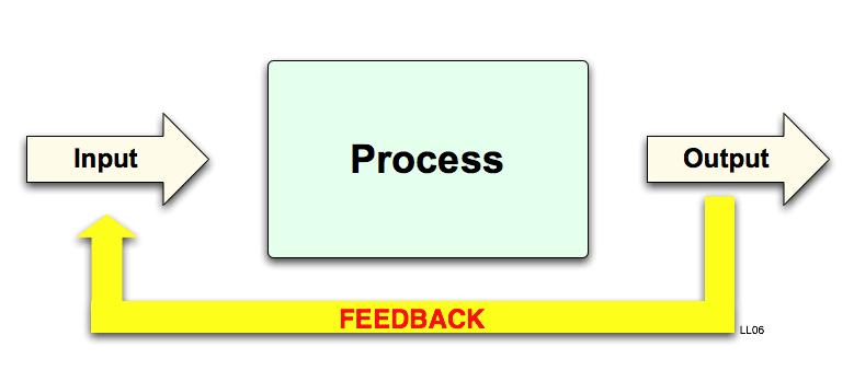 Feedback Loops When a system undergoes a change, how much they change is