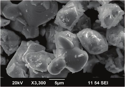 The morphology of the samples was studied by scanning electron microscopy (SEM) (Figure 2). It can be seen for individual phases Ba 1.95 In 2 O 4.9 F 0.