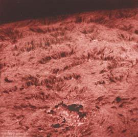 The Chromosphere The Suns Surface (Photosphere) Spicules: Filaments of cooler