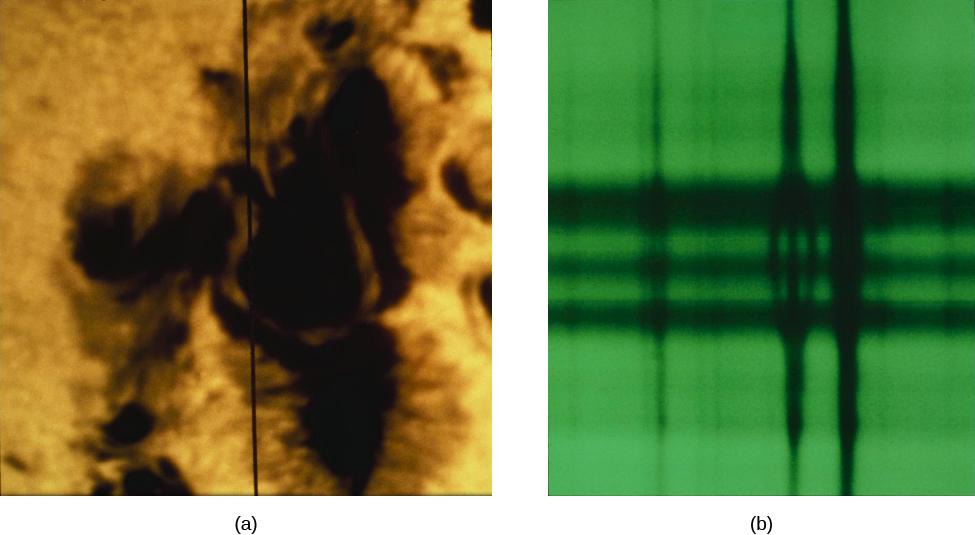 OpenStax-CNX module: m59878 5 Zeeman Eect. Figure 3: These photographs show how magnetic elds in sunspots are measured by means of the Zeeman eect.