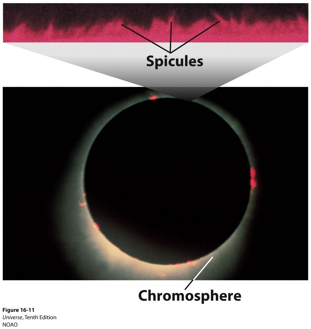 The Chromosphere When an eclipse blocks out the photosphere, a region called the chromosphere is revealed. This region is only about 10-4 as dense as the photosphere.