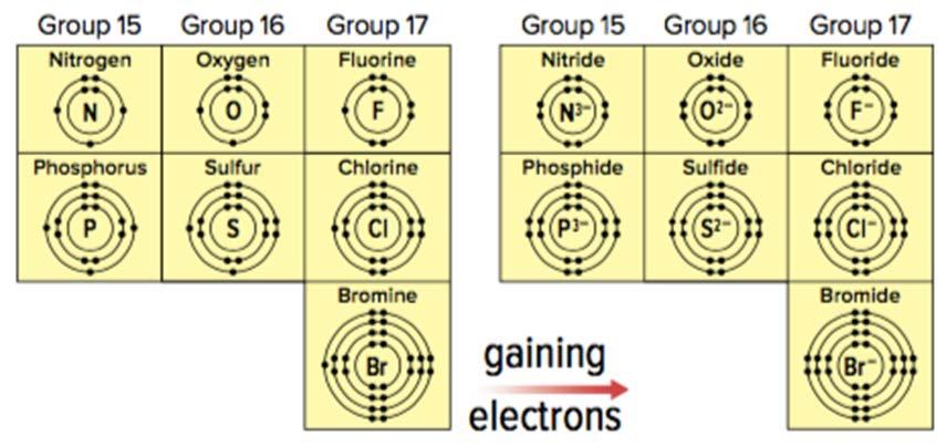 one electron Group 2 metal ions charge: 2+ Group 3 metal ions charge: 3+ Non metals gain electrons Non-metal atoms can