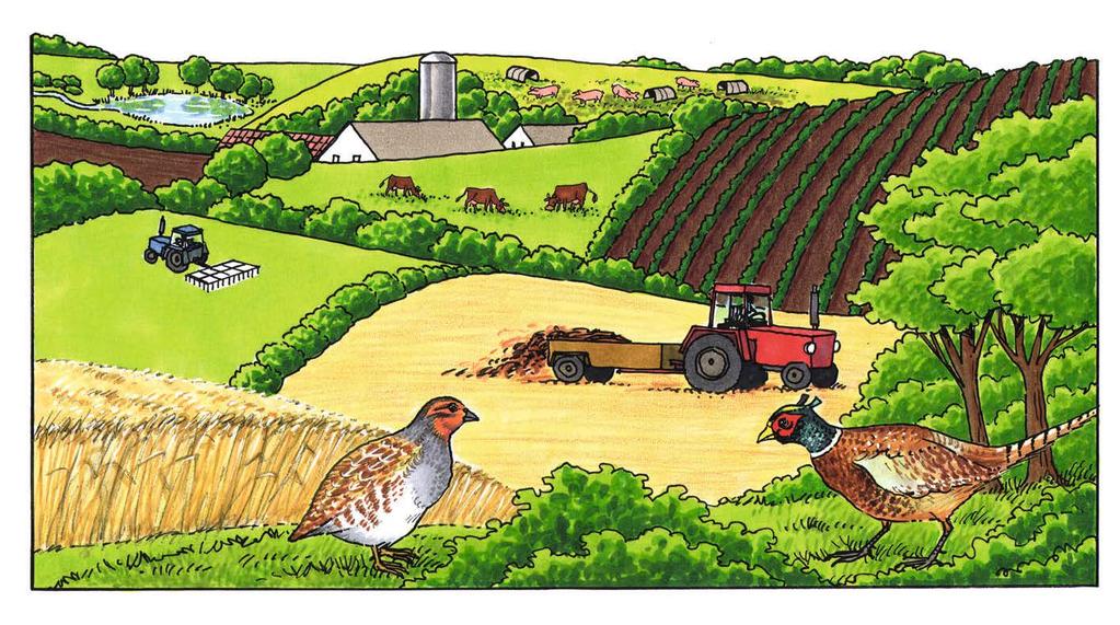 AGRICULTURE A