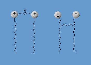 Gemini Surfactants New type of dimeric surfactant. Two monomeric surfactant molecules linked by a spacer chain. S can vary in length, hydrophobicity and flexibility.
