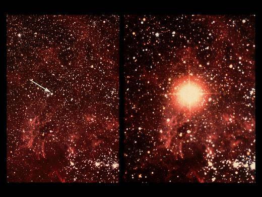 Historic Supernovae: * Supernovae become extremely bright. * Supernovae in our Milky Way can become bright enough to see during the day.