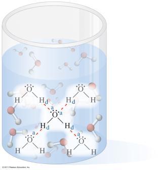 Hydrogen Bonding in Water Hydrogen bonding occurs between the same molecules as seen in water, between two different polar molecules, or even between different parts of the same molecule.