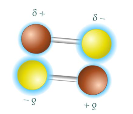 Dipole Dipole Forces: is the simultaneous attraction of a