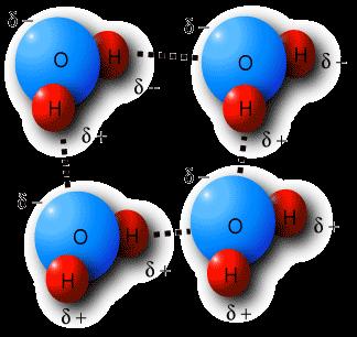 Hydrogen bonding is represented using dotted